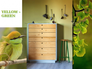 tellow green color in the interior decoration